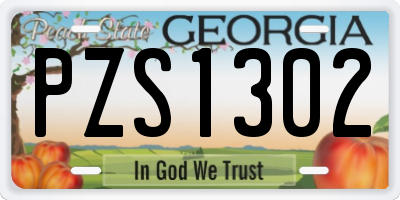 GA license plate PZS1302