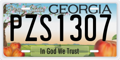GA license plate PZS1307