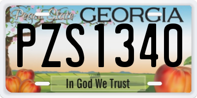 GA license plate PZS1340