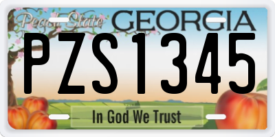 GA license plate PZS1345