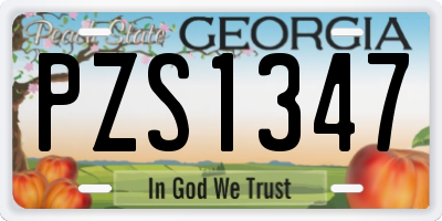 GA license plate PZS1347