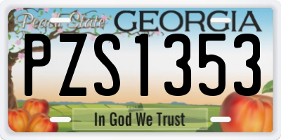 GA license plate PZS1353