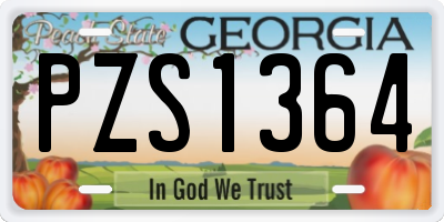 GA license plate PZS1364