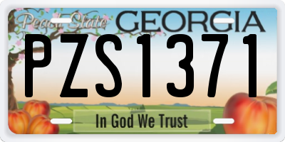 GA license plate PZS1371