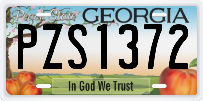 GA license plate PZS1372