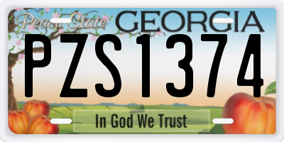 GA license plate PZS1374