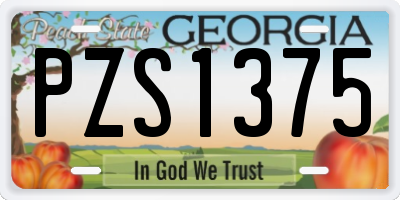 GA license plate PZS1375