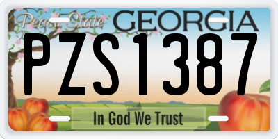 GA license plate PZS1387
