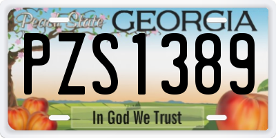 GA license plate PZS1389