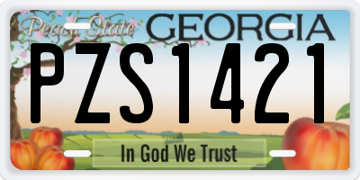 GA license plate PZS1421