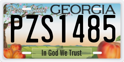 GA license plate PZS1485