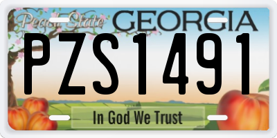GA license plate PZS1491