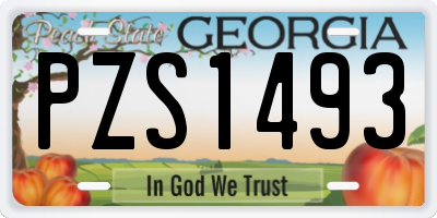 GA license plate PZS1493