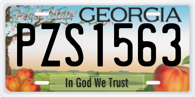 GA license plate PZS1563