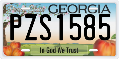 GA license plate PZS1585