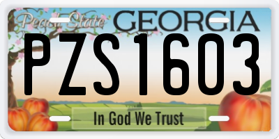 GA license plate PZS1603