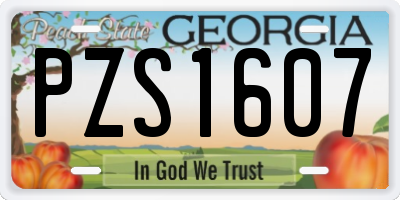 GA license plate PZS1607