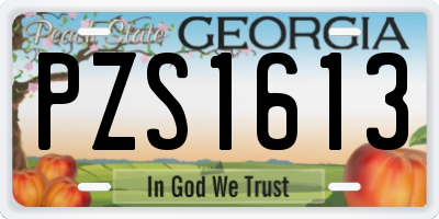 GA license plate PZS1613
