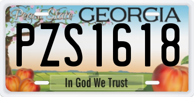 GA license plate PZS1618