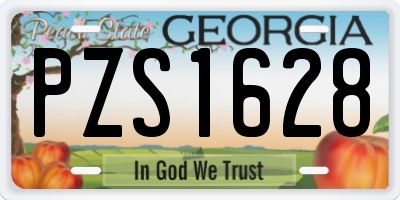 GA license plate PZS1628