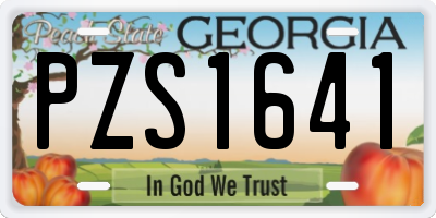 GA license plate PZS1641
