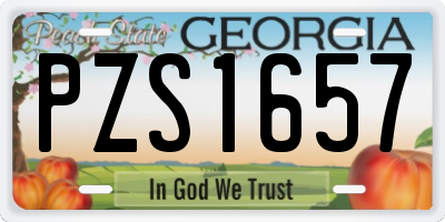 GA license plate PZS1657