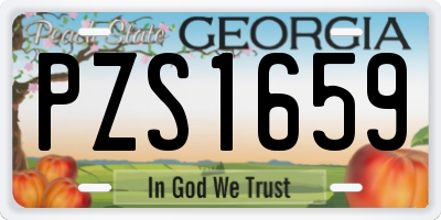 GA license plate PZS1659
