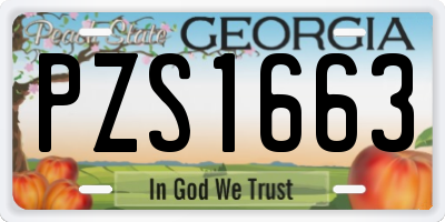 GA license plate PZS1663