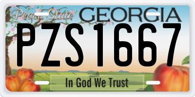 GA license plate PZS1667