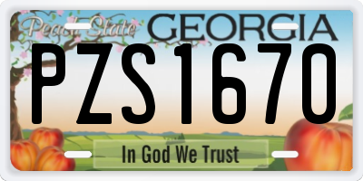 GA license plate PZS1670