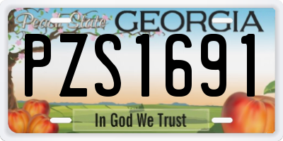 GA license plate PZS1691