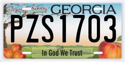 GA license plate PZS1703