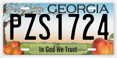 GA license plate PZS1724