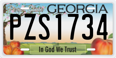 GA license plate PZS1734