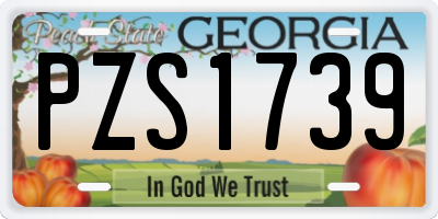 GA license plate PZS1739