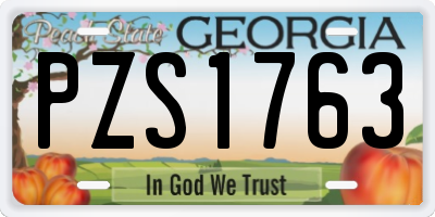 GA license plate PZS1763