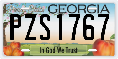 GA license plate PZS1767