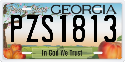 GA license plate PZS1813