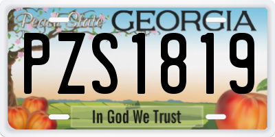 GA license plate PZS1819