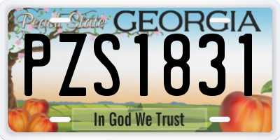 GA license plate PZS1831