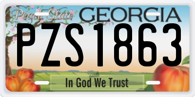 GA license plate PZS1863