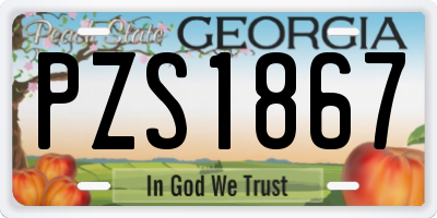 GA license plate PZS1867
