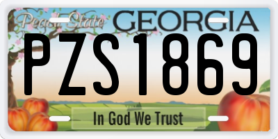 GA license plate PZS1869