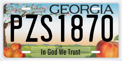 GA license plate PZS1870