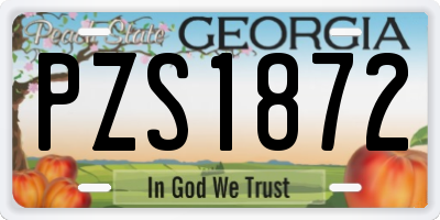 GA license plate PZS1872