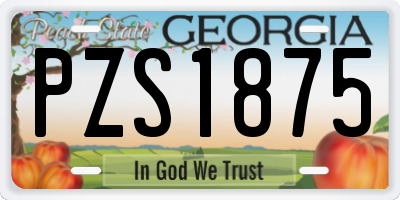 GA license plate PZS1875