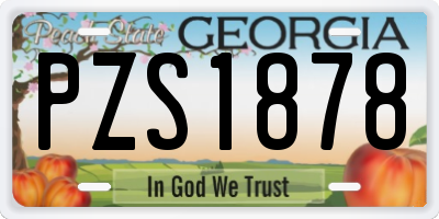 GA license plate PZS1878