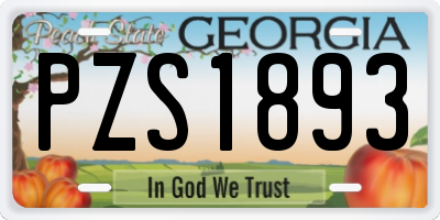 GA license plate PZS1893
