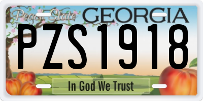 GA license plate PZS1918