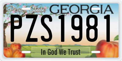 GA license plate PZS1981